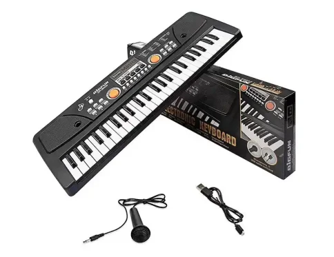 اسباب بازی ارگ ۴۹ کلید